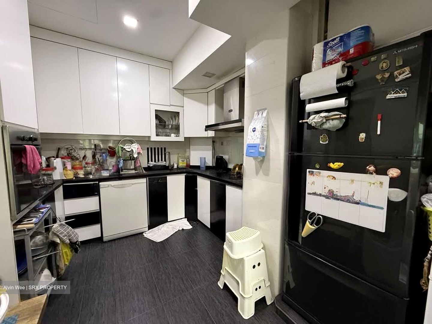 Fortune Park (D19), Condominium #553783241